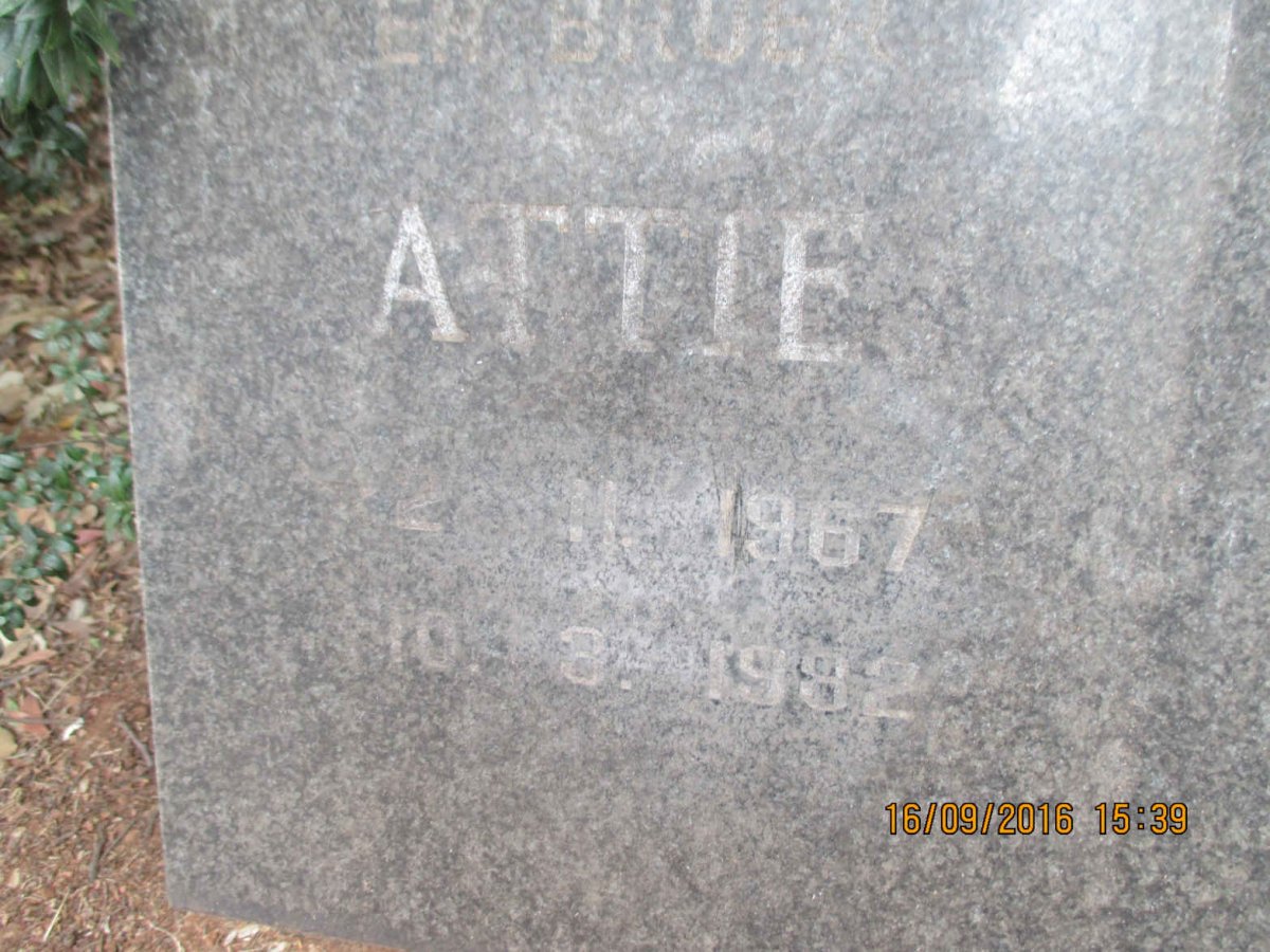 KOSTER Attie 1967-1982