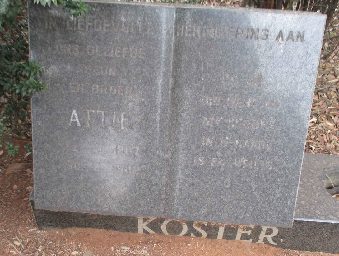 KOSTER Attie 1967-1982