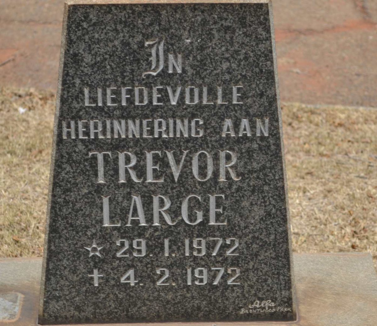 LARGE Trevor 1972-1972