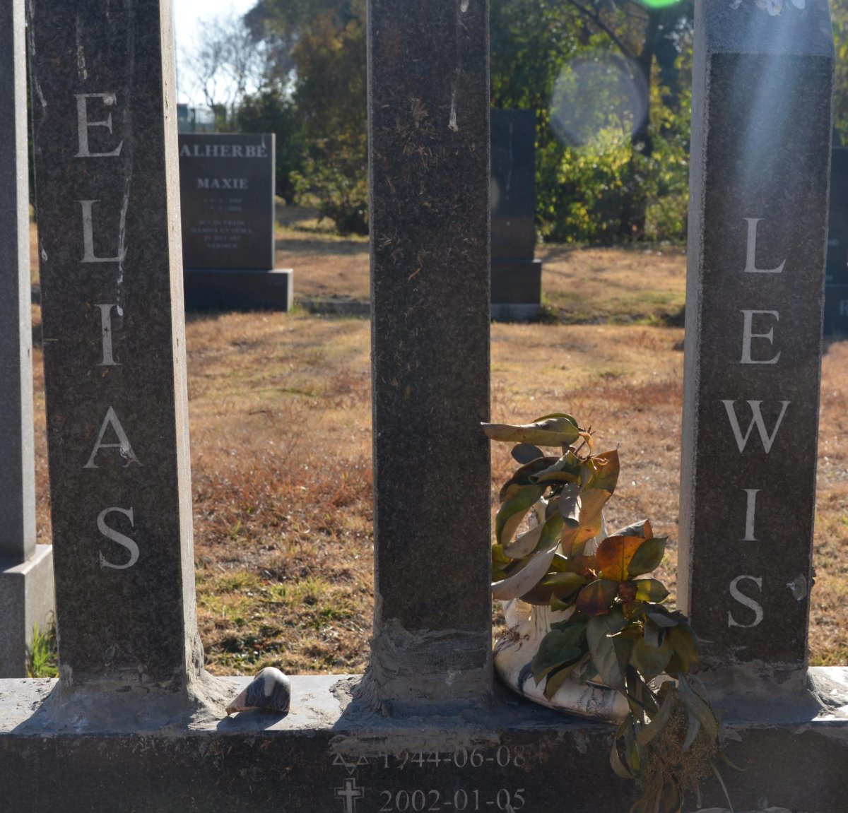 LEWIS Elias 1944-2002