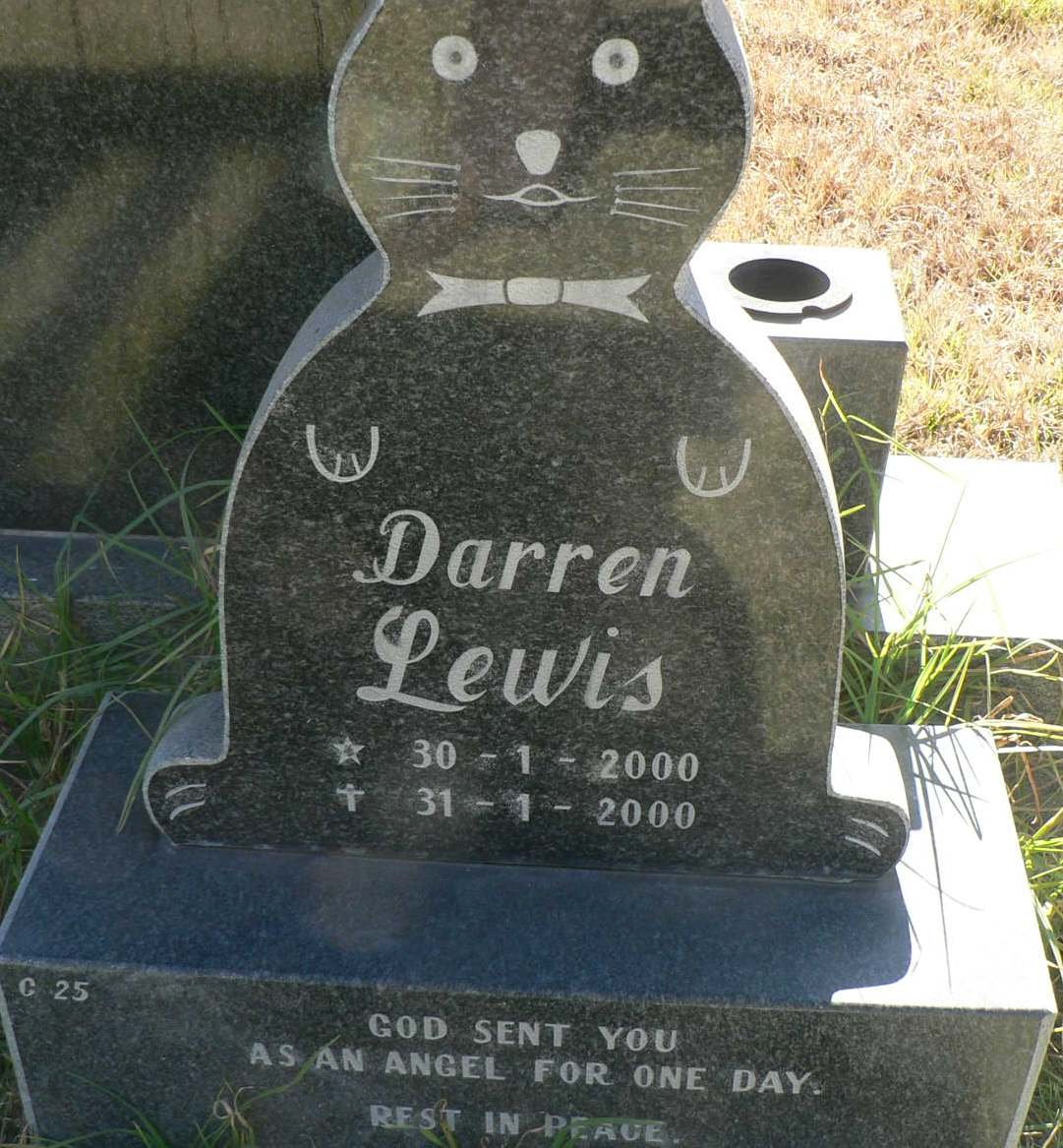 LEWIS Darren 2000-2000