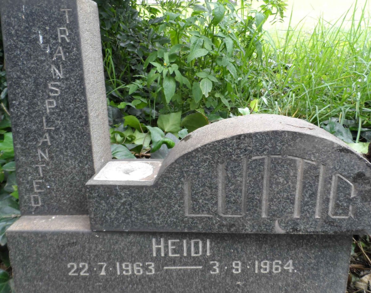 LUTTIG Heidi 1963-1964