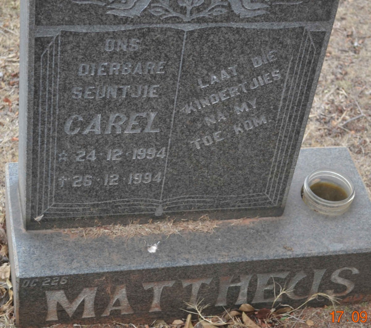 MATTHEUS Carel 1994-1994
