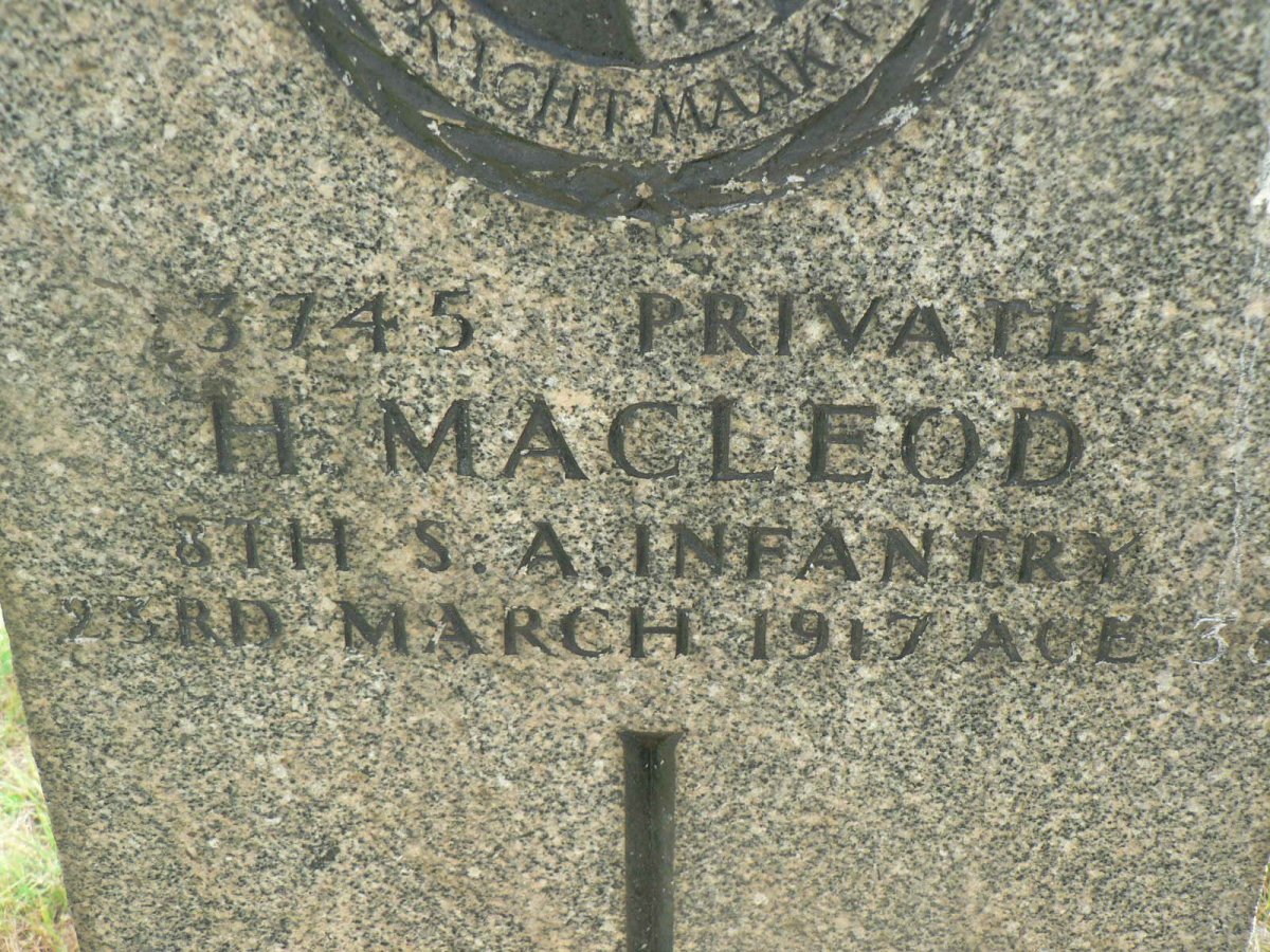 MacLEOD H. -1917