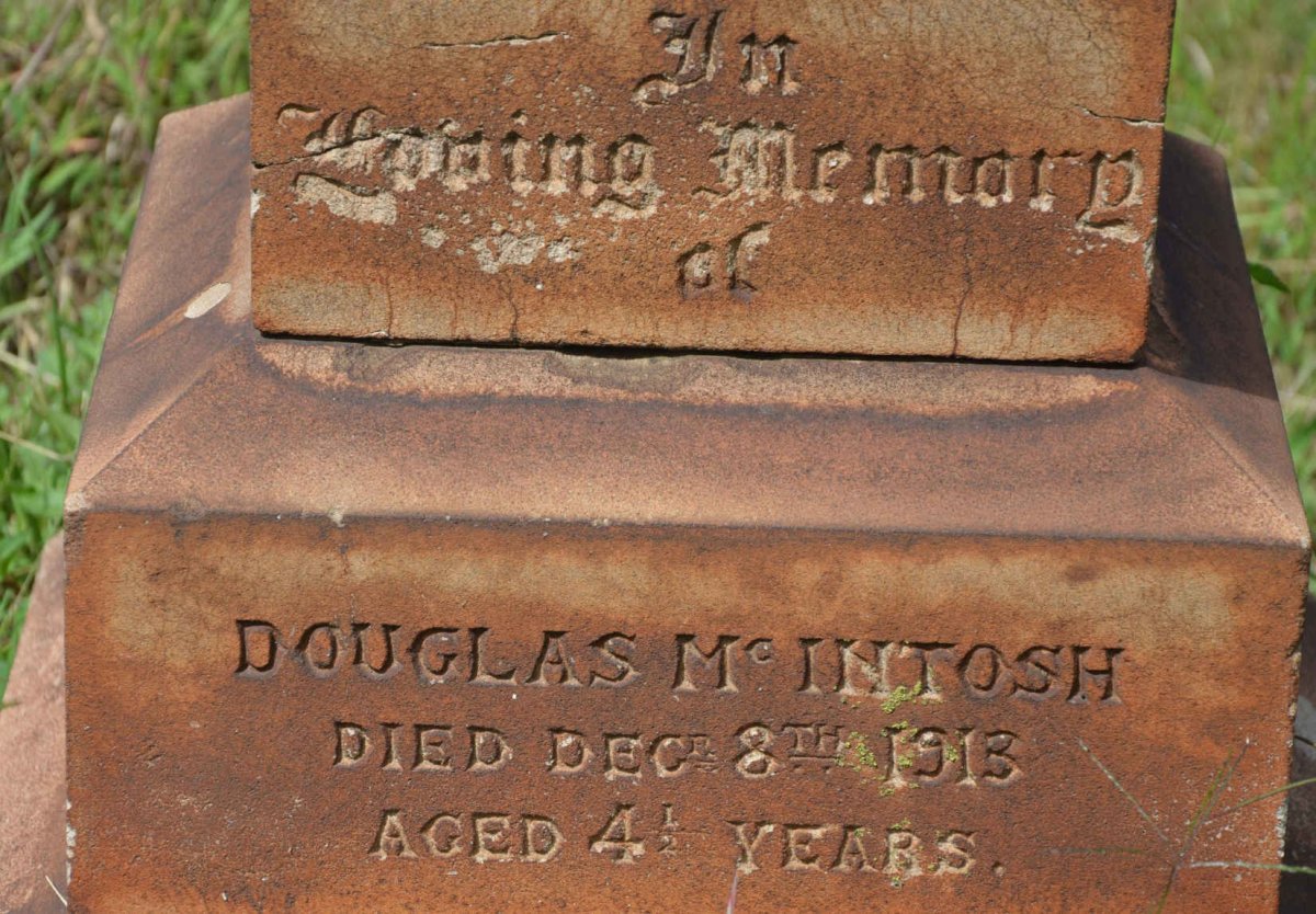 McINTOSH Douglas -1913