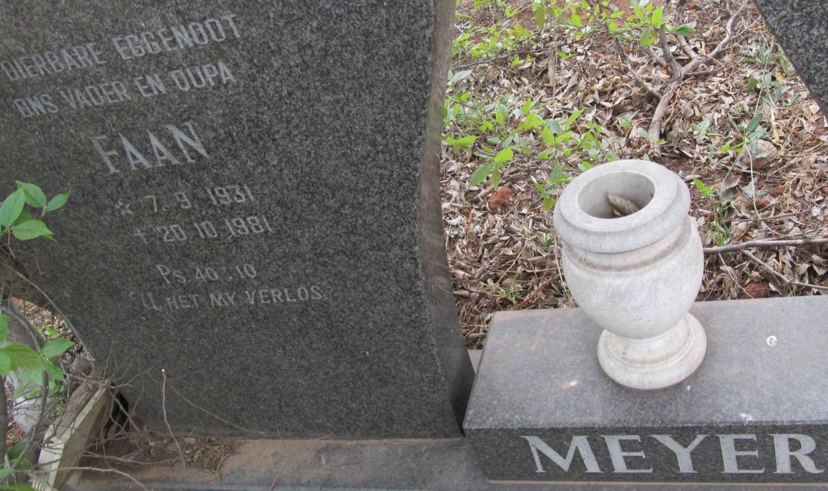 MEYER Faan 1931-1981