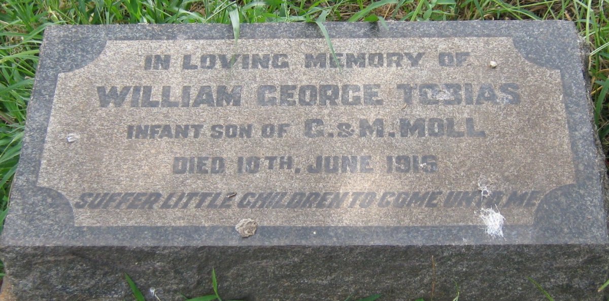 MOLL William George Tobias -1916