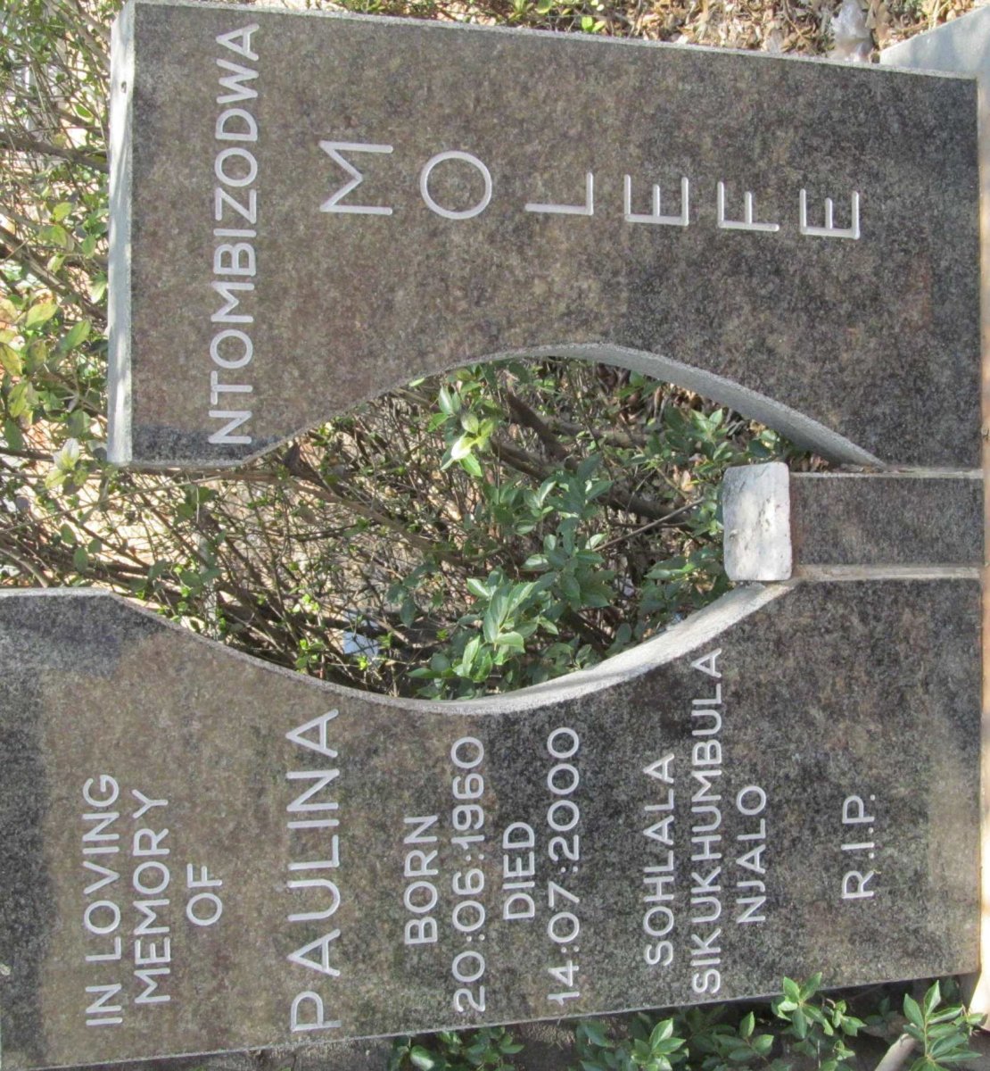 MOLEFE Ntombizodwa Paulina 1960-2000