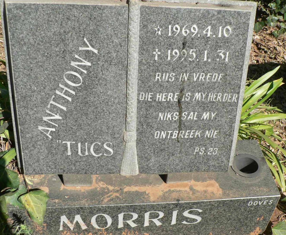 MORRIS Anthony 1969-1995