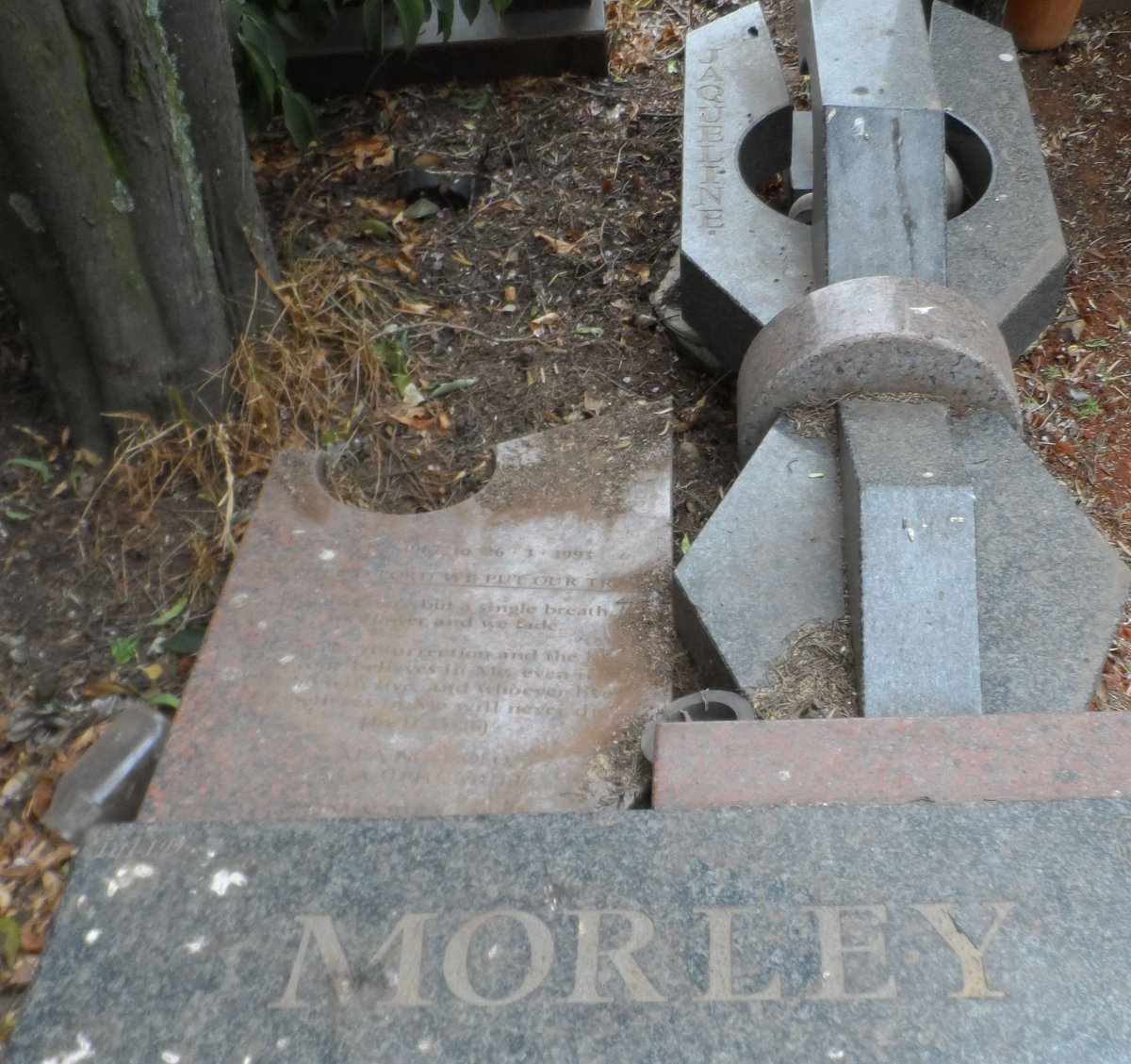 MORLEY Jacqueline 1967-1993