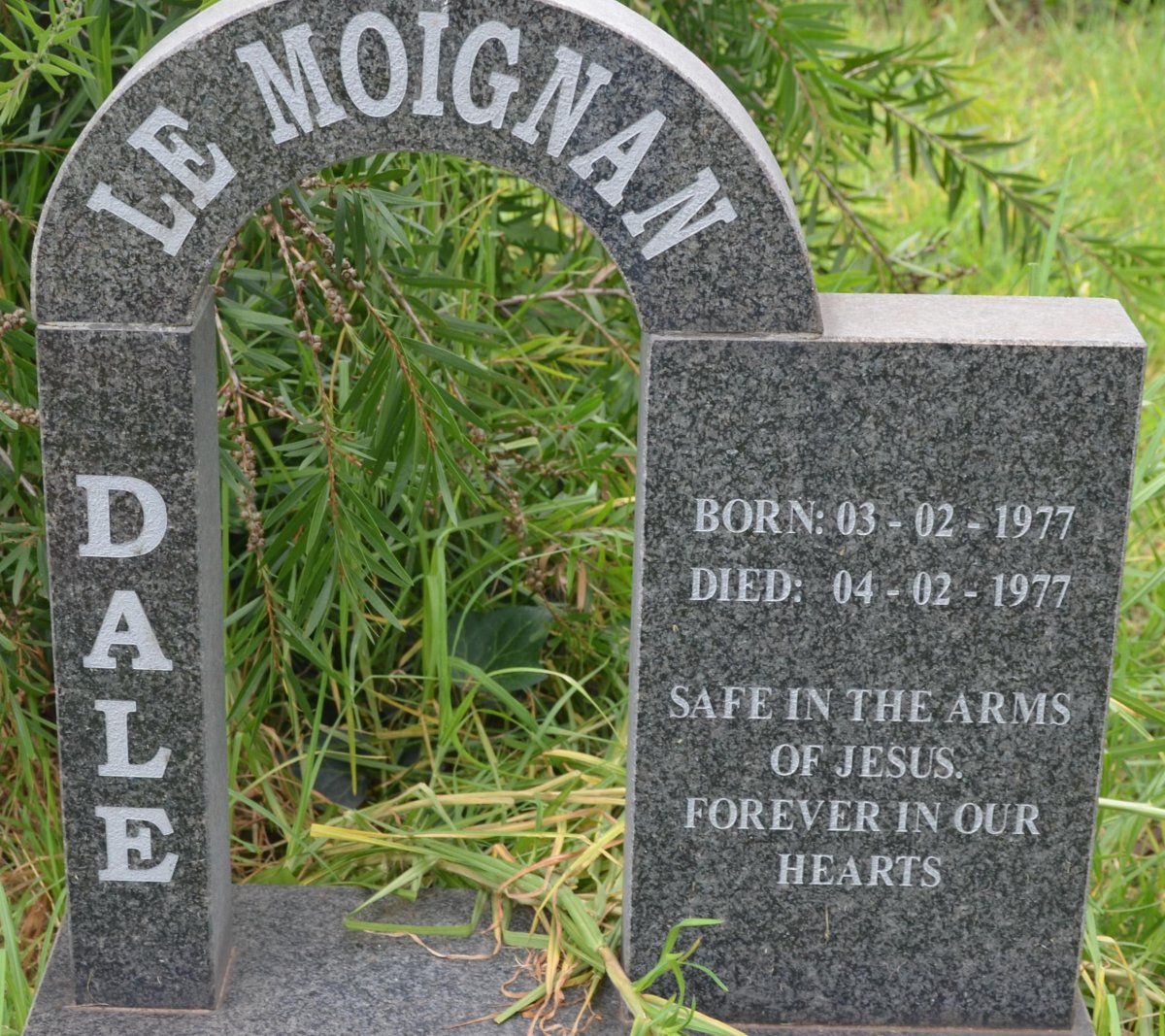 MOIGNAN Dale, le 1977-1977