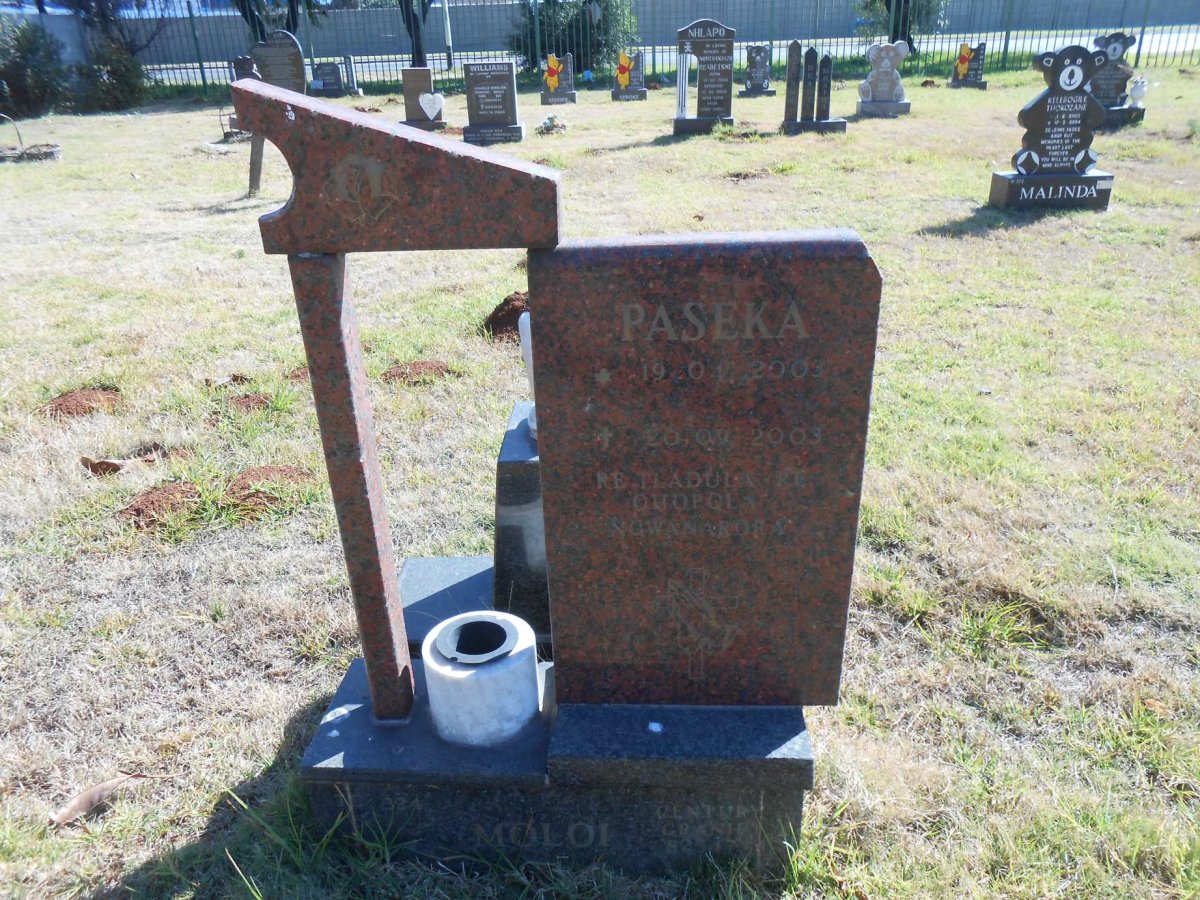 MOLOI Paseka 2003-2003
