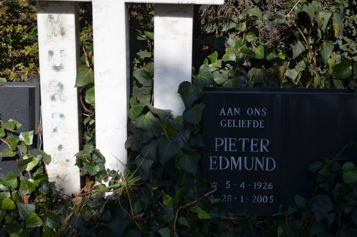MURRAY Pieter Edmund 1926-2005