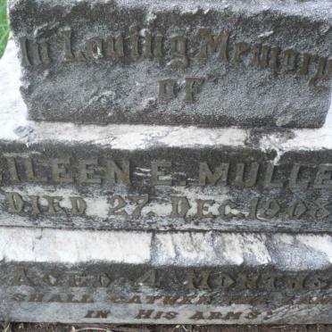 MULLER Eileen E. -1908