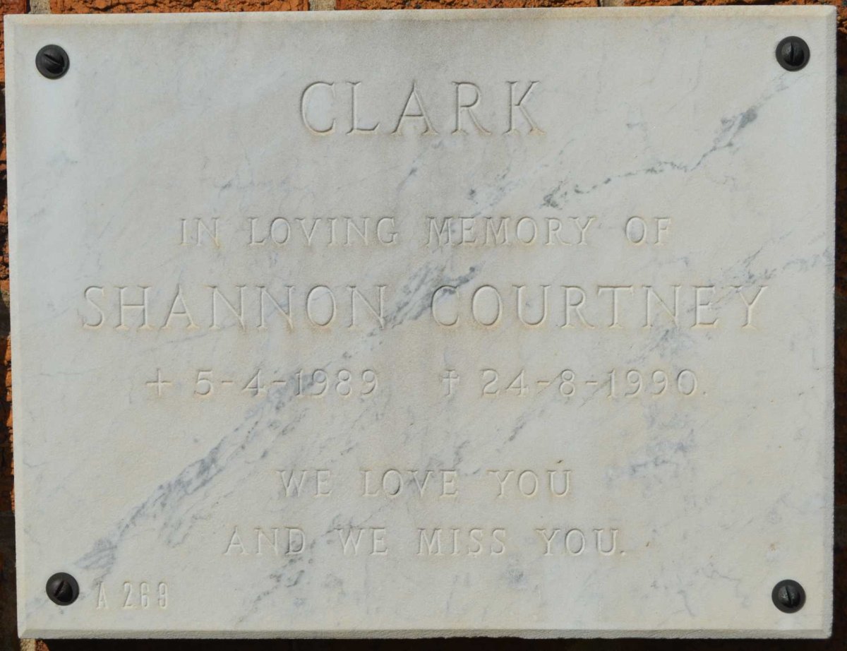 CLARK Shannon Courtney 1989-1990