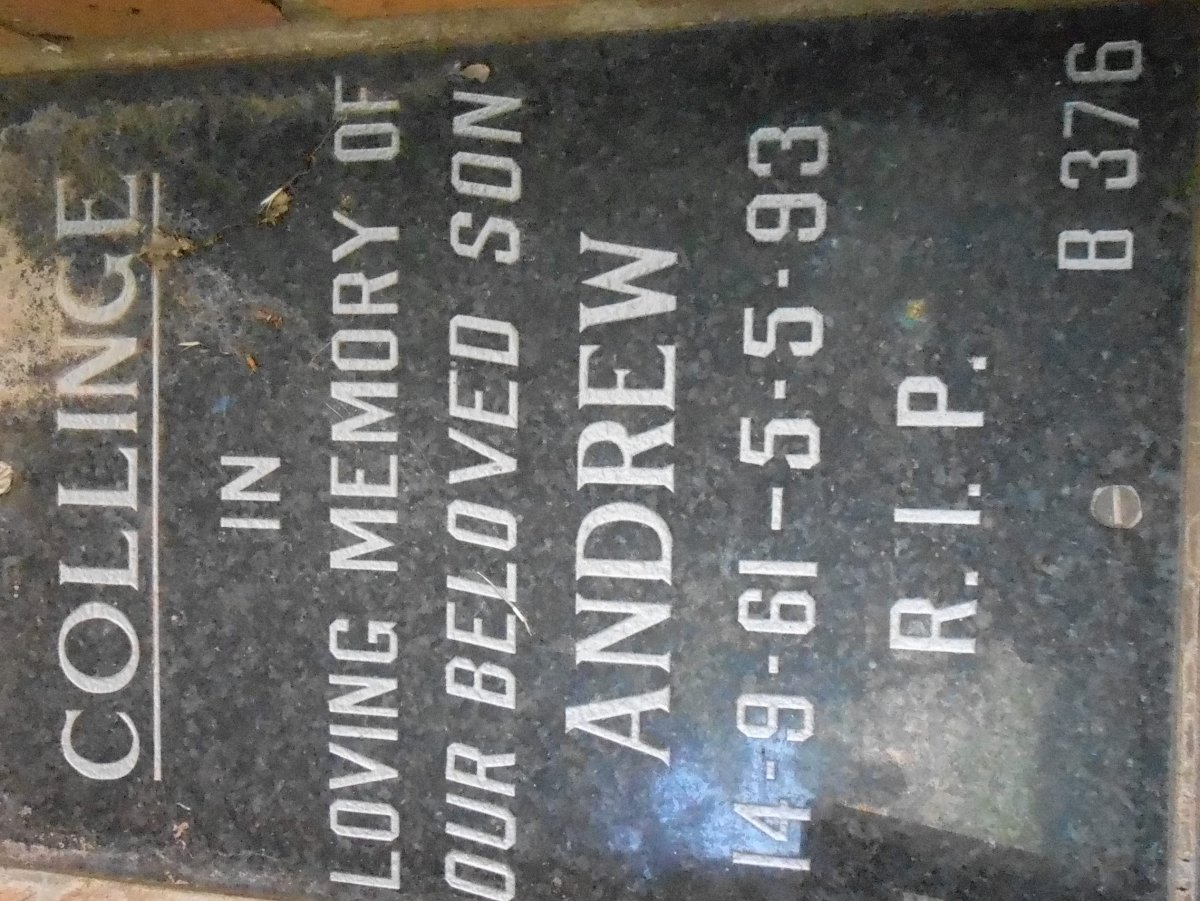 COLLINGE Andrew 1961-1993