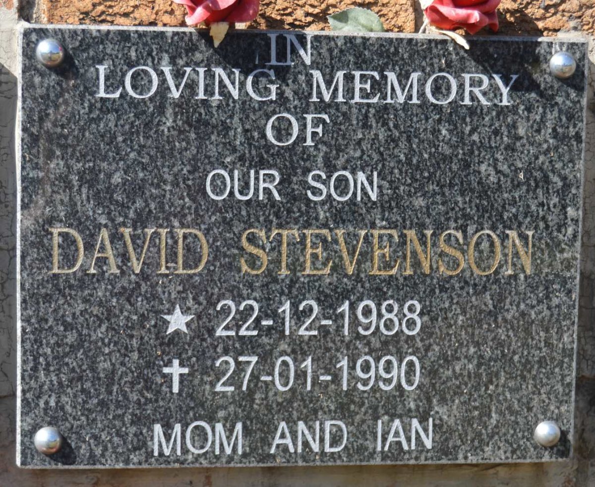 STEVENSON David 1988-1990