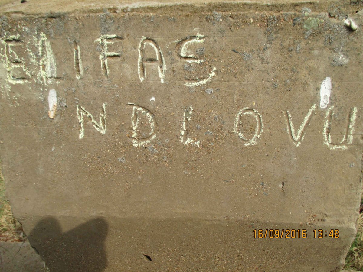 NDLOVU Elifas