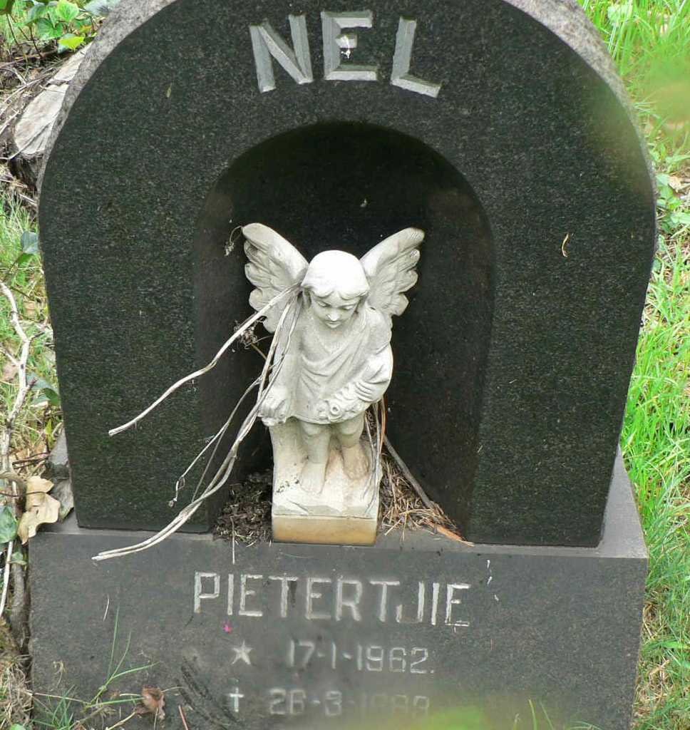 NEL Pietertjie 1962-1963