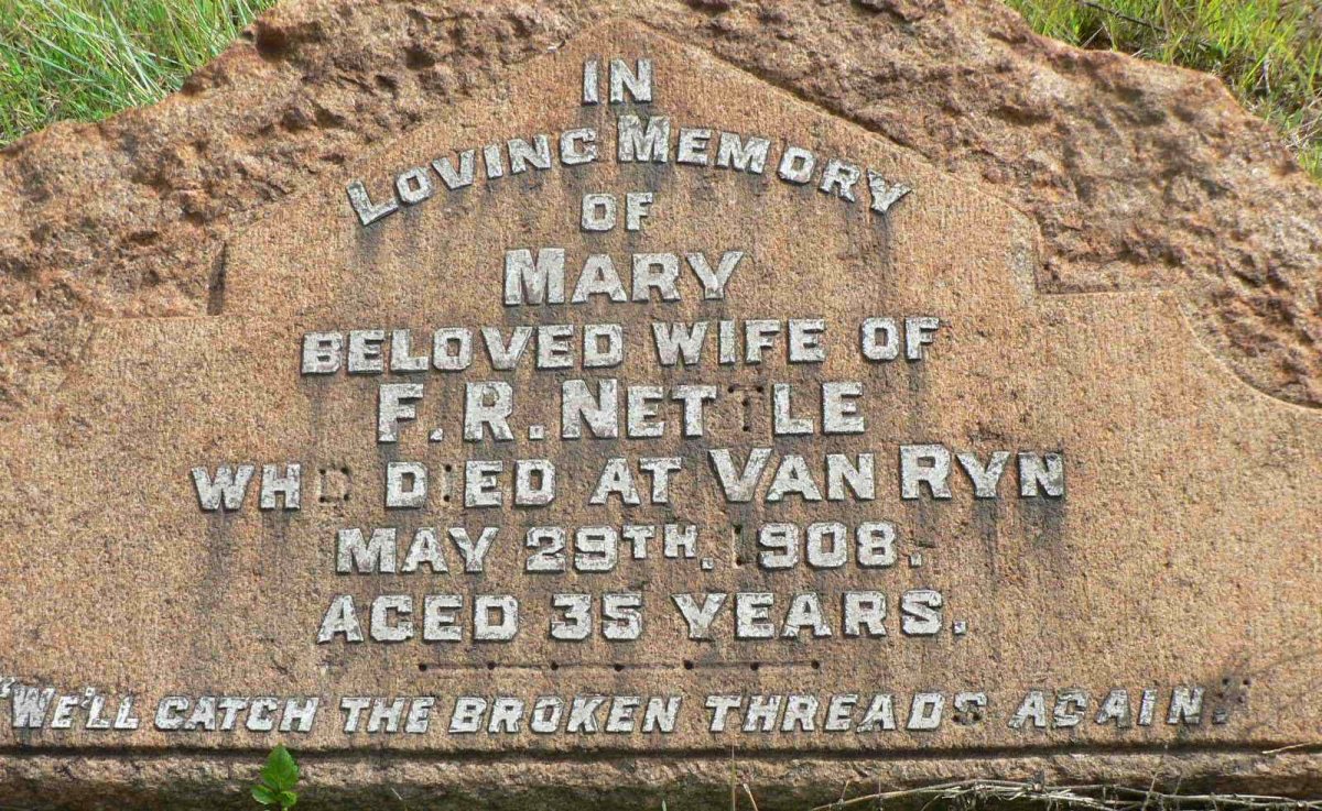 NETTLE Mary -1908