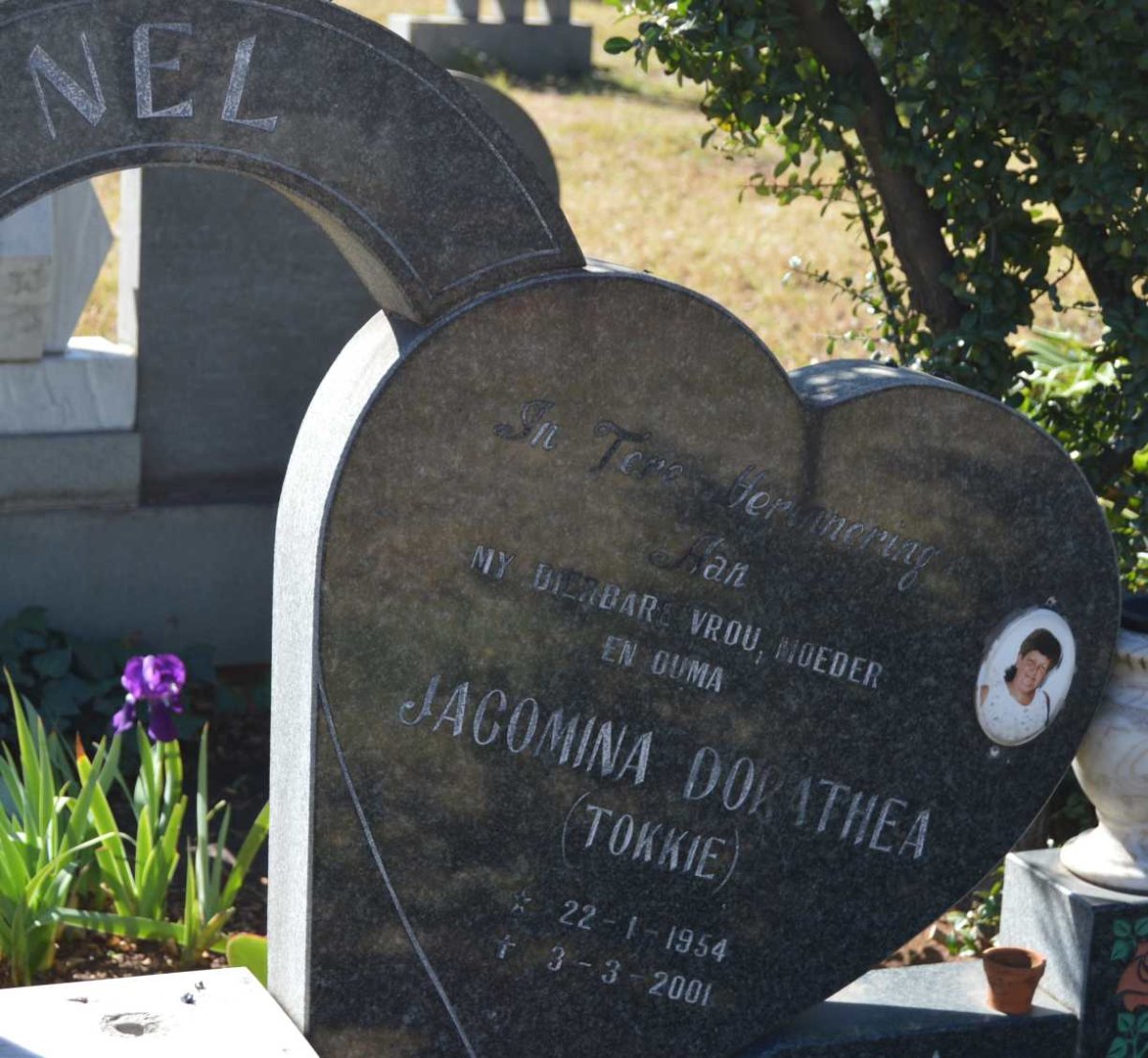 NEL Jacomina Dorathea 1954-2001