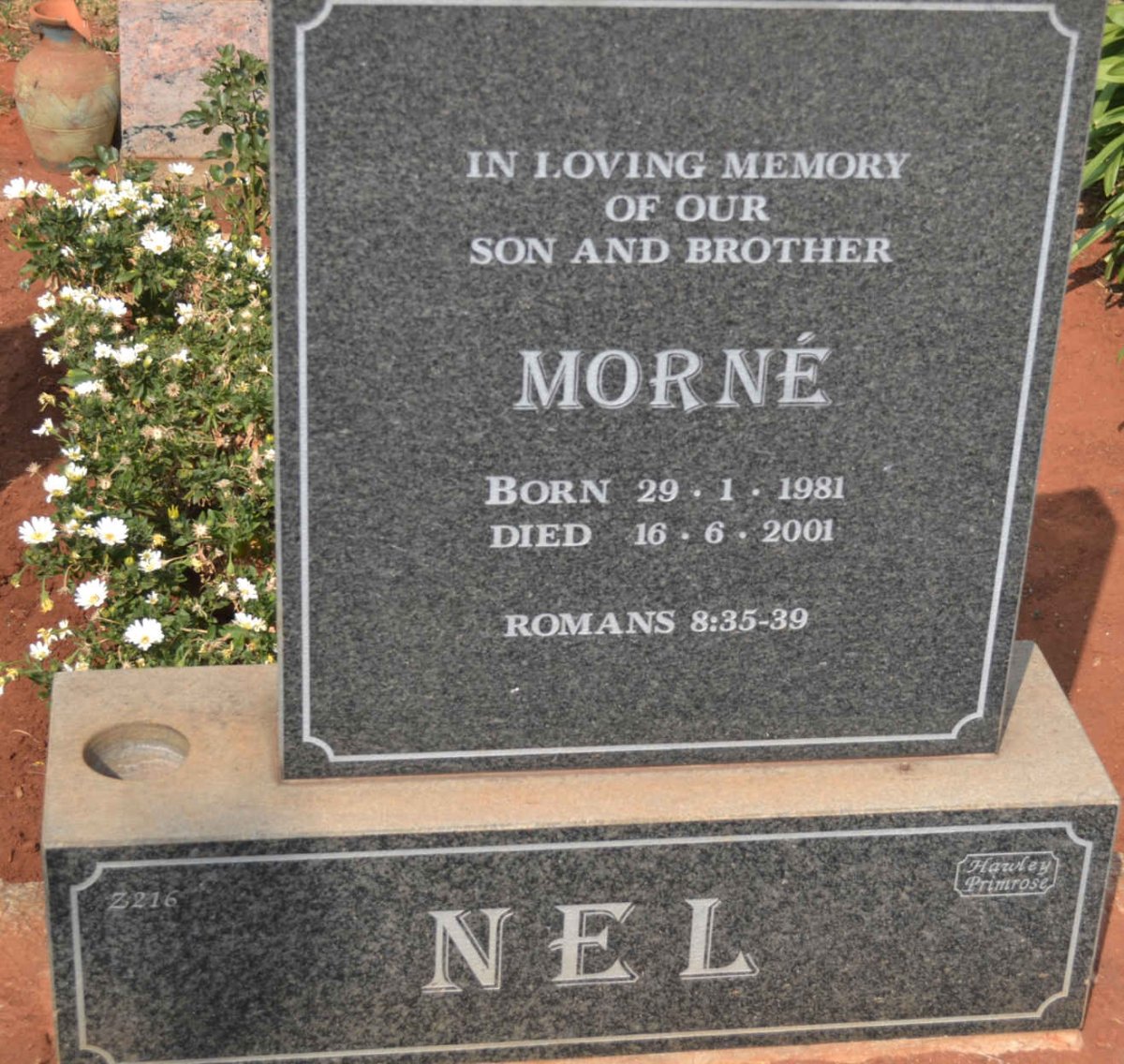 NEL Morné 1981-2001