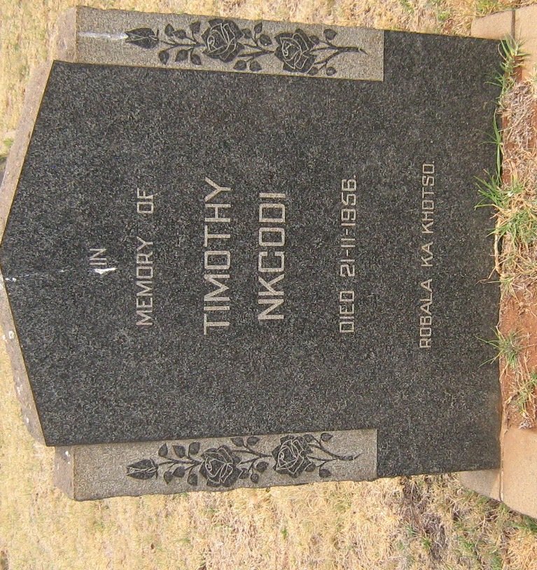 NKCODI Timothy -1956