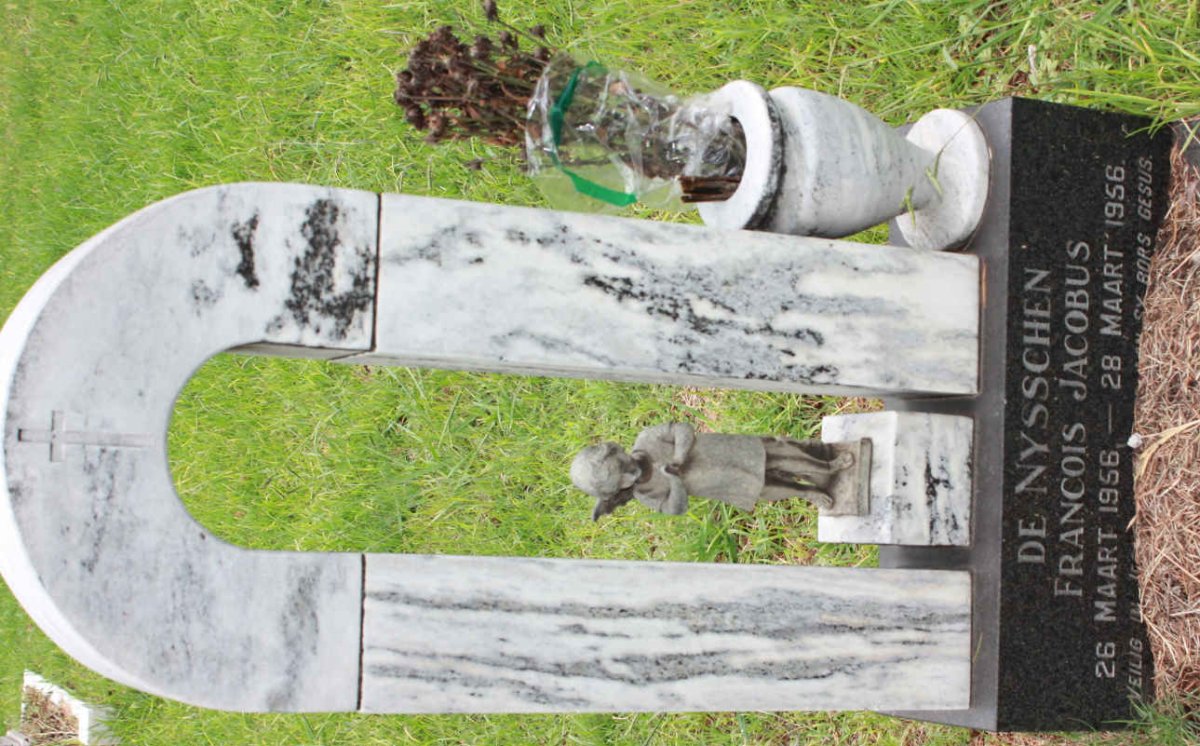 NYSSCHEN Francois Jacobus, de 1956-1956