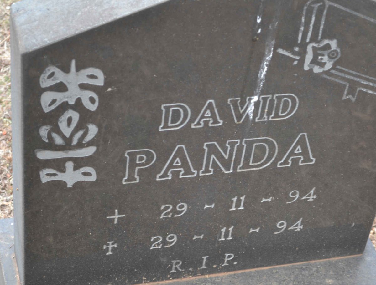 PANDA David 1994-1994