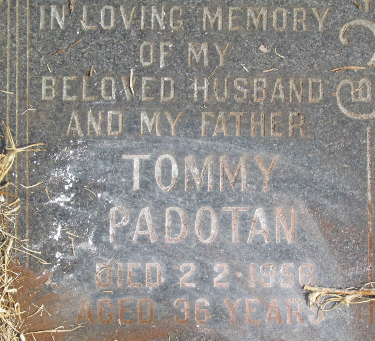 PADOTAN Tommy -1956