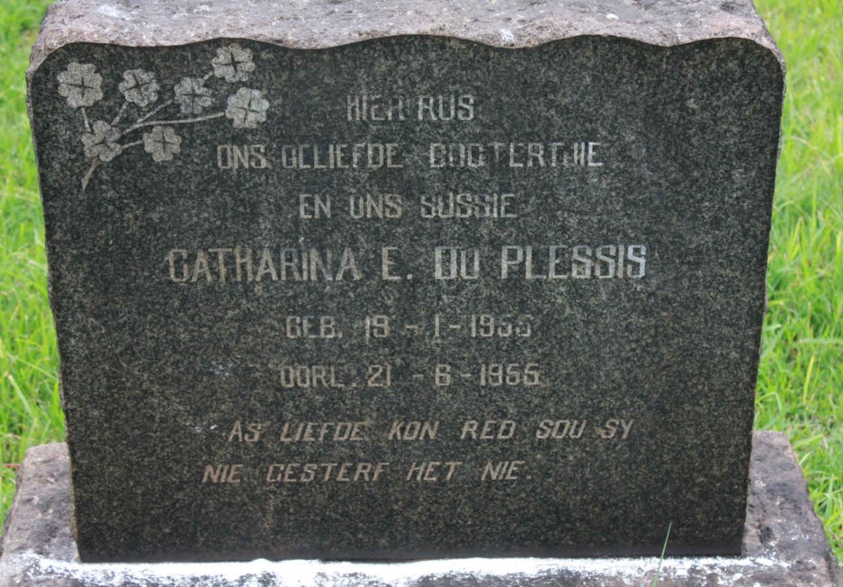 PLESSIS Catharina E., du 1955-1955
