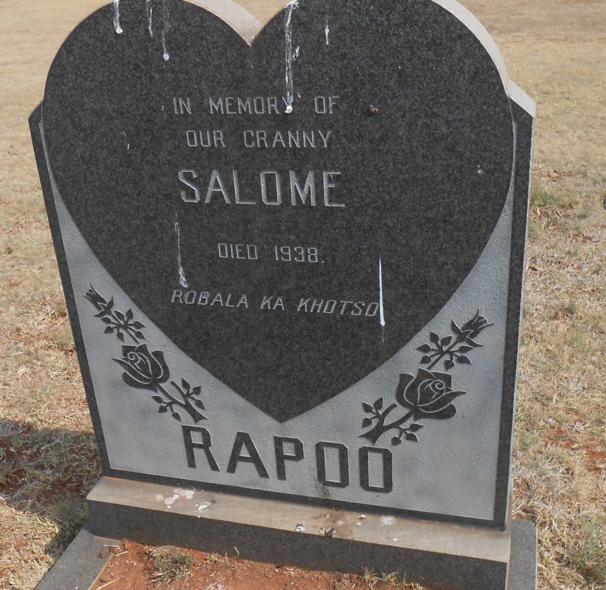 RAPOO Salome -1938