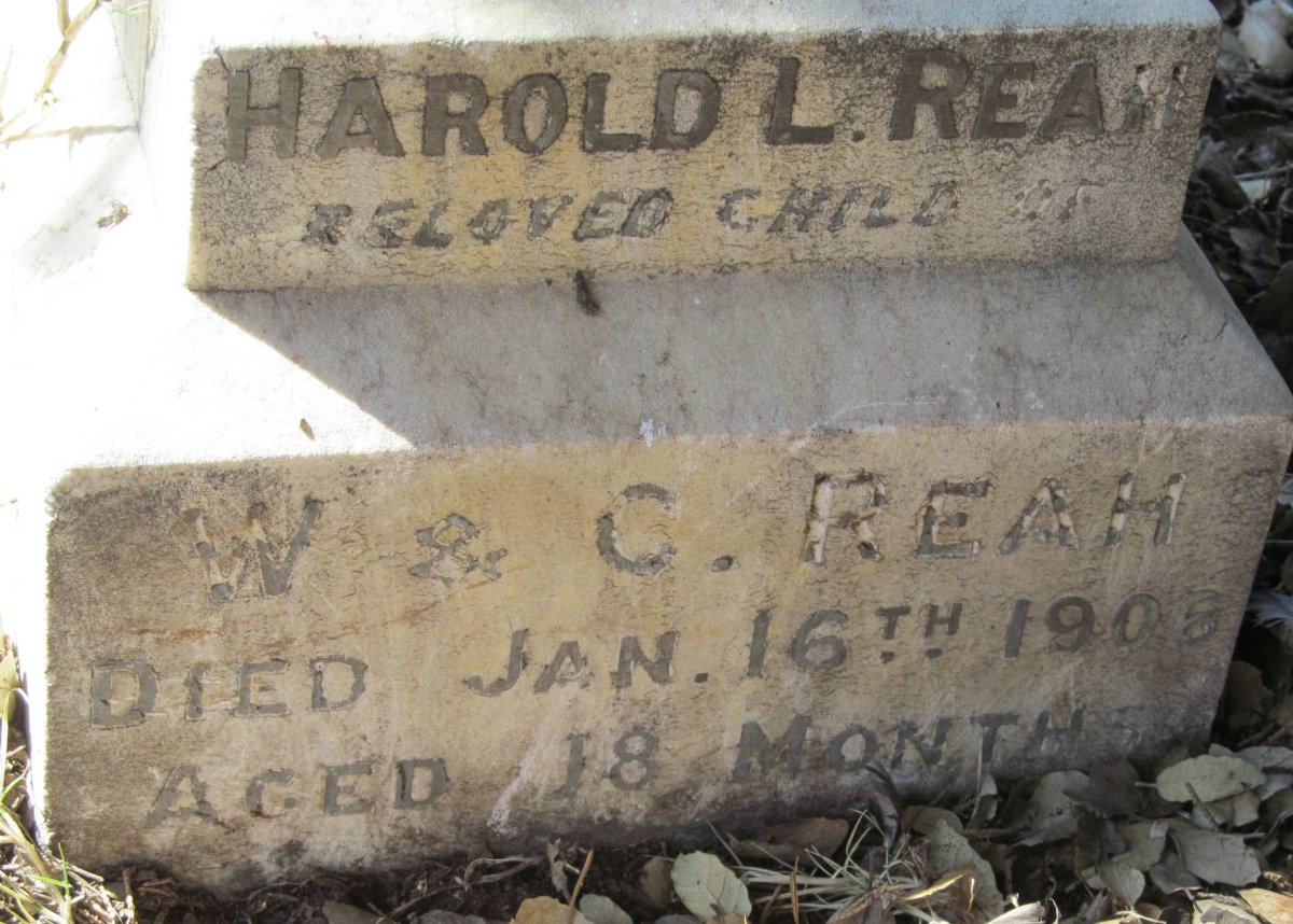REAH Harold L. -1906