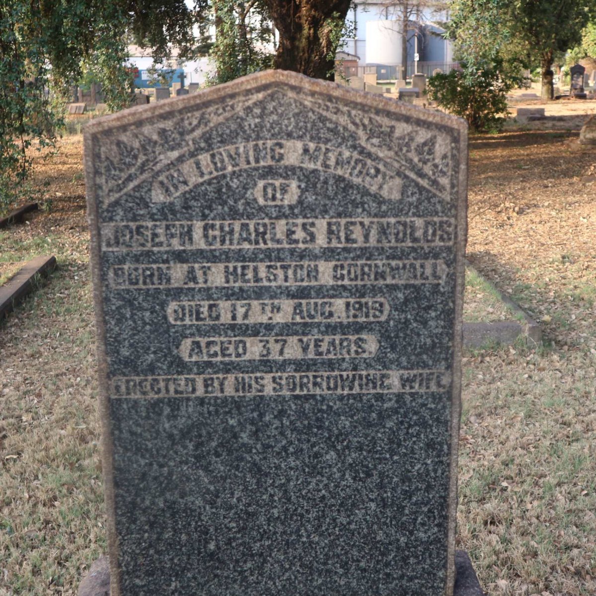 REYNOLDS Joseph Charles -1919