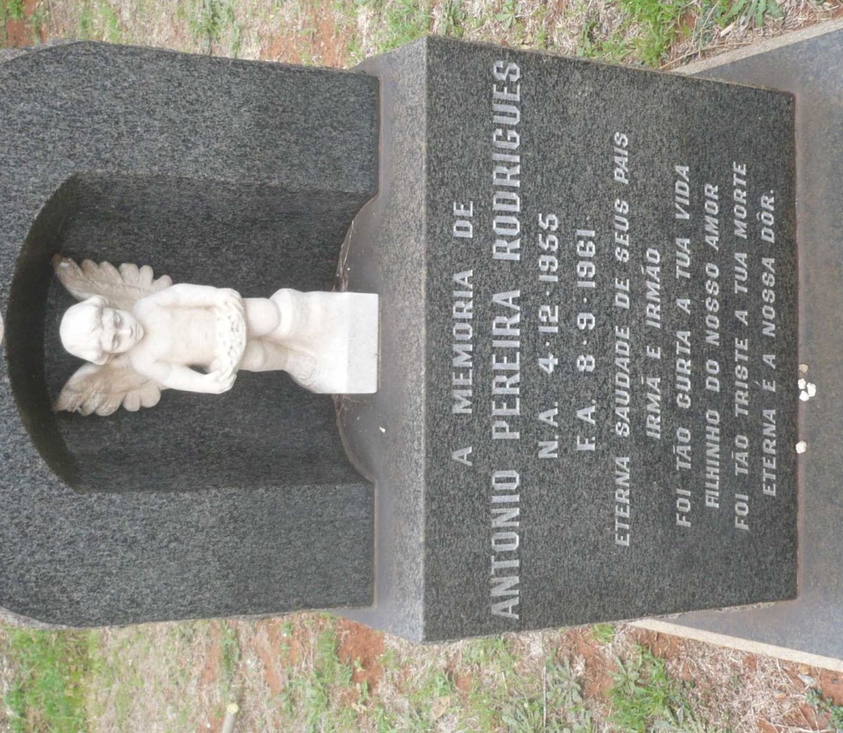 RODRIGUES Antonio Pereira 1955-1961