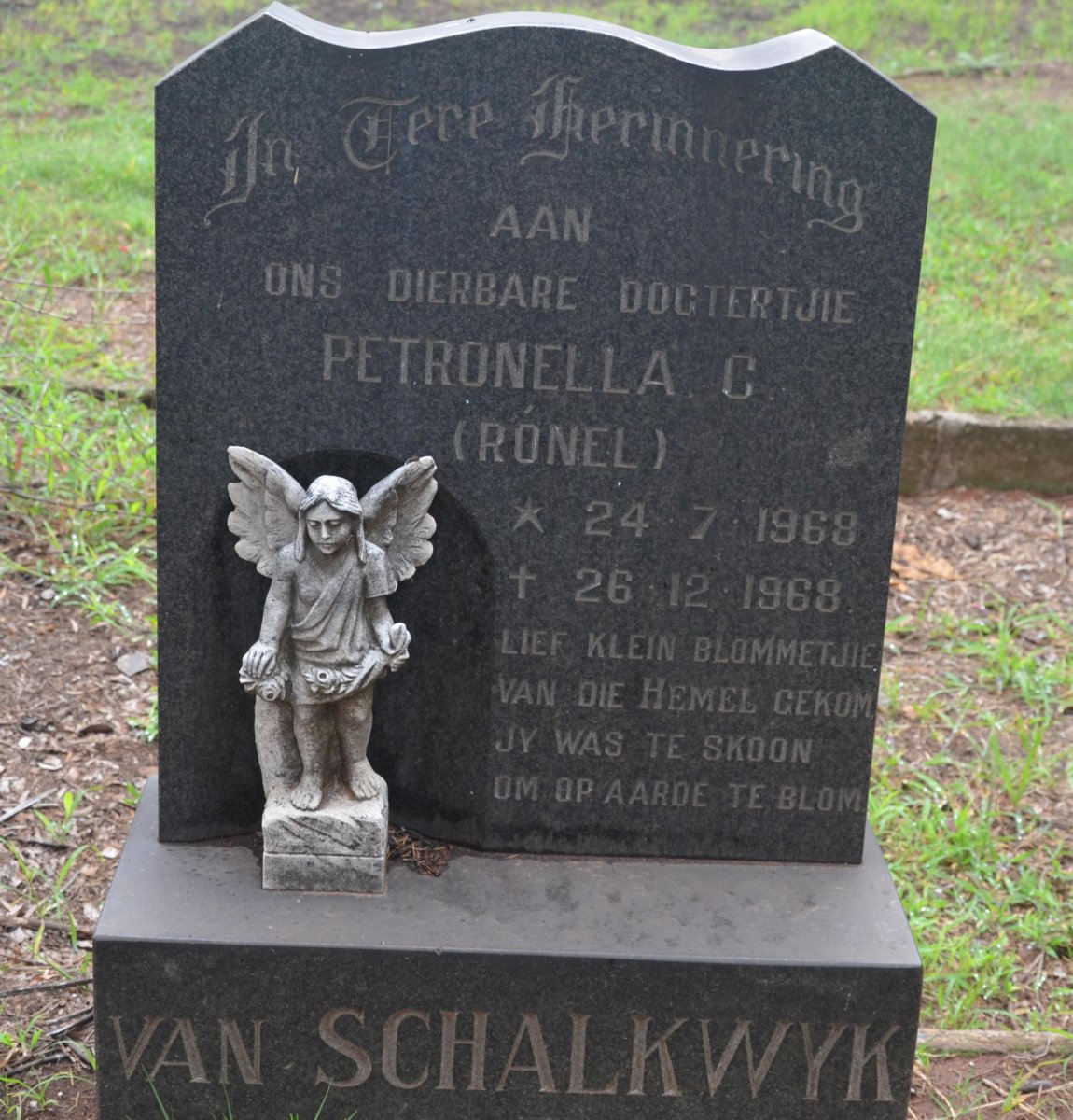 SCHALKWYK Petronella C., van 1968-1968