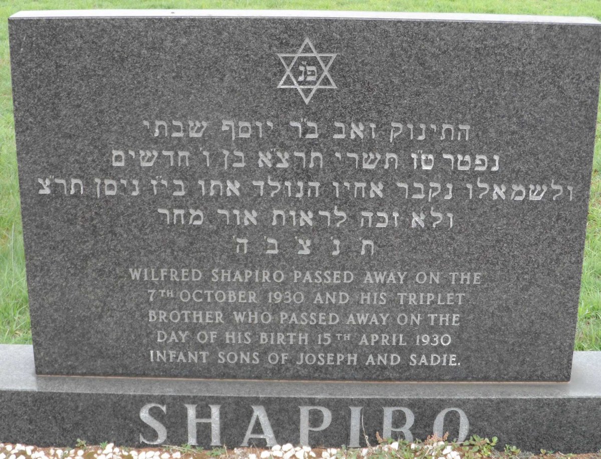 SHAPIRO Wilfred 1930-1930 :: SHAPIRO ? 1930-1930