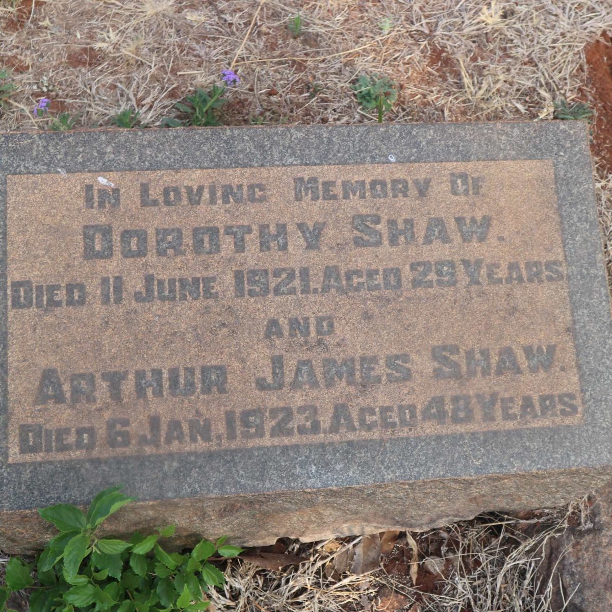 SHAW Arthur James -1923 &amp; Dorothy -1921