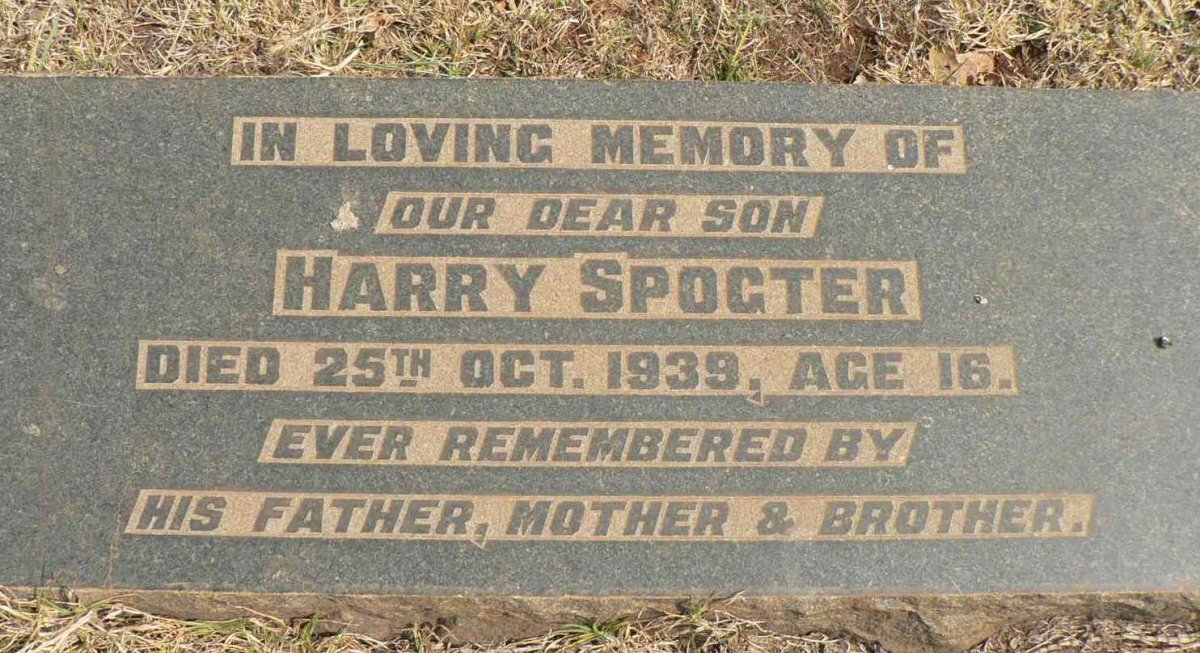 SPOGTER Harry -1939