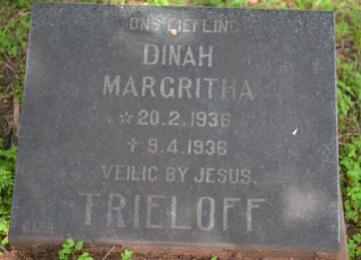 TRIELOFF Dinah Margritha 1936-1936