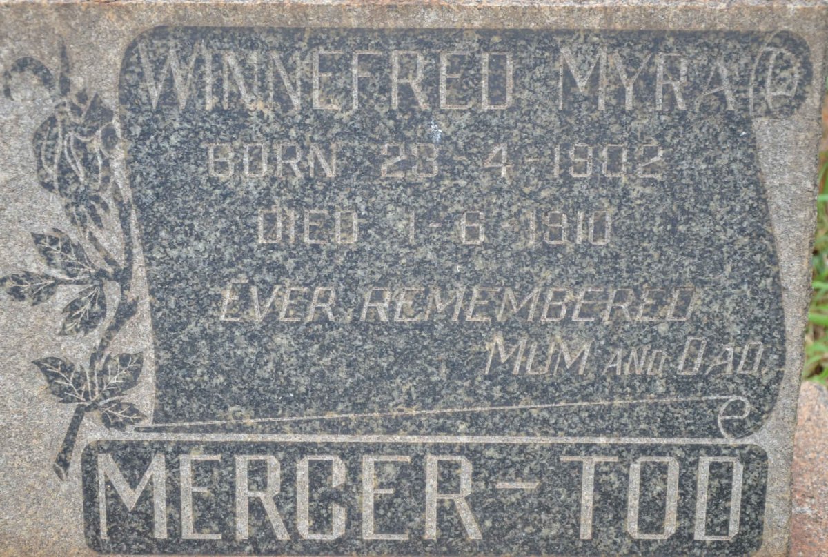 TOD Winnefred Myra, Mercer 1902-1910