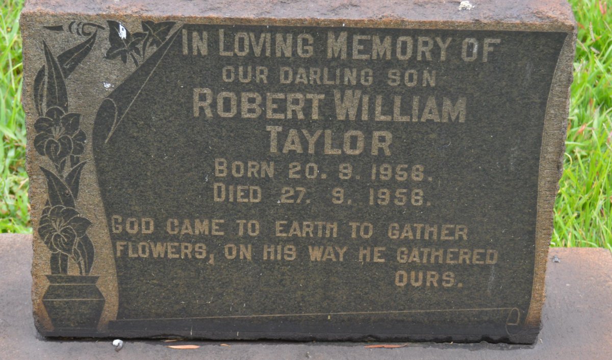 TAYLOR Robert William 1956-1956