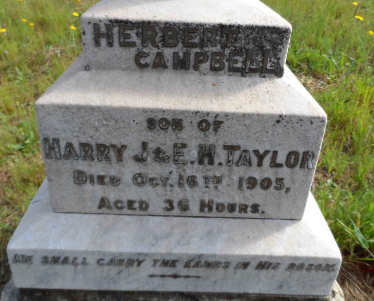 TAYLOR Herbert Campbell -1905
