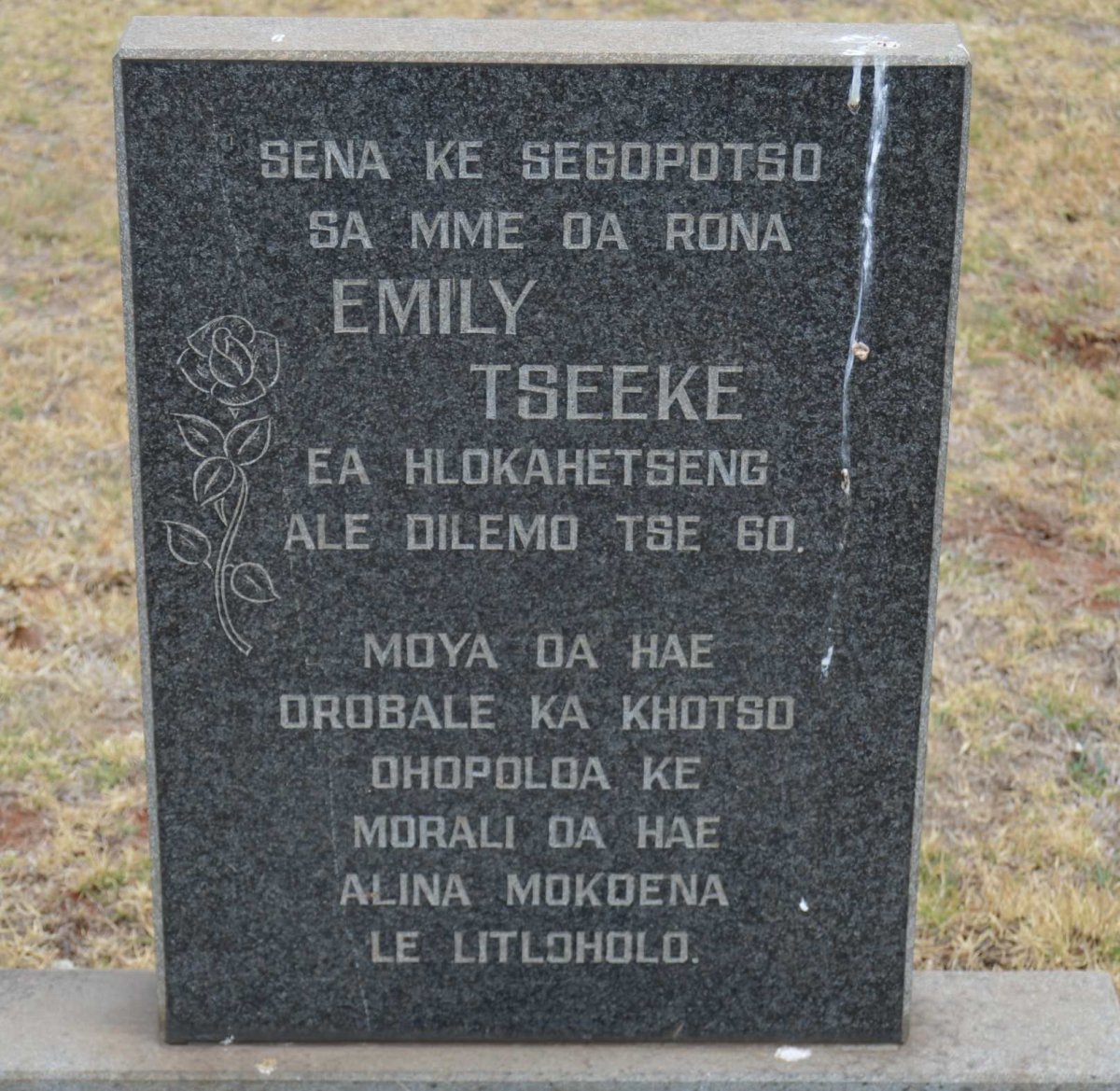 TSEEKE Emily