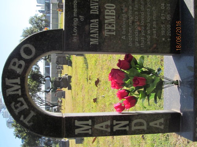 TEMBO Manda David 1995-2000