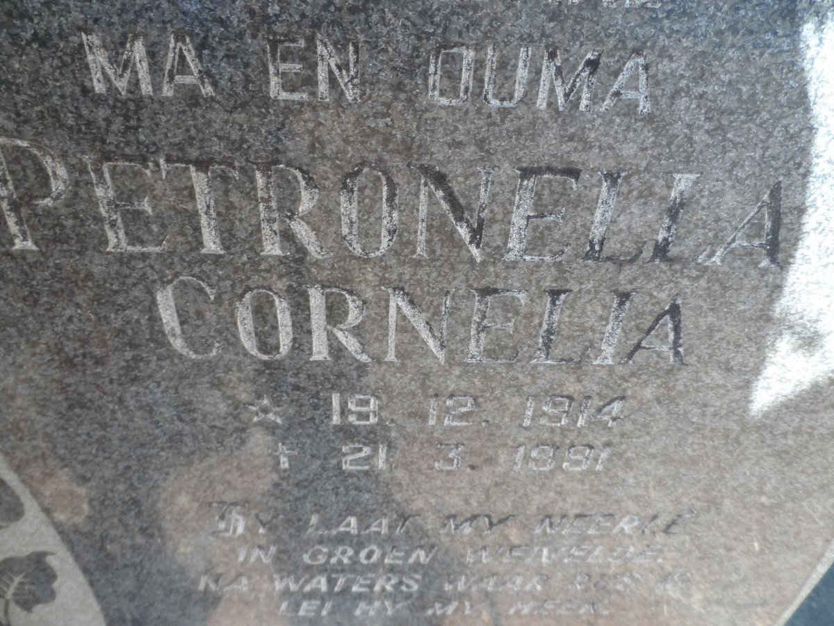 WALT Petronella Cornelia, van der 1914-1991