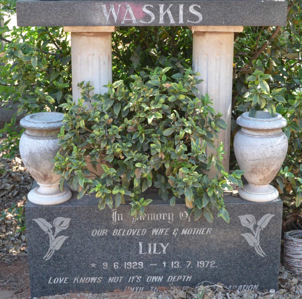 WASKIS Lily 1929-1972