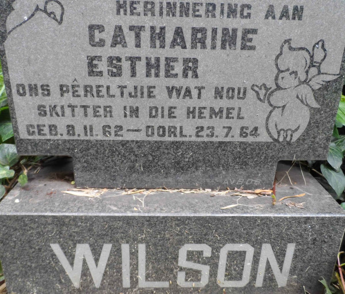 WILSON Catharine Esther 1962-1964