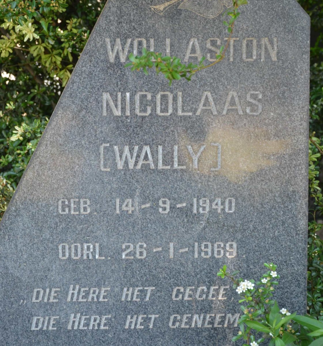 WOLLASTON Nicolaas 1940-1969