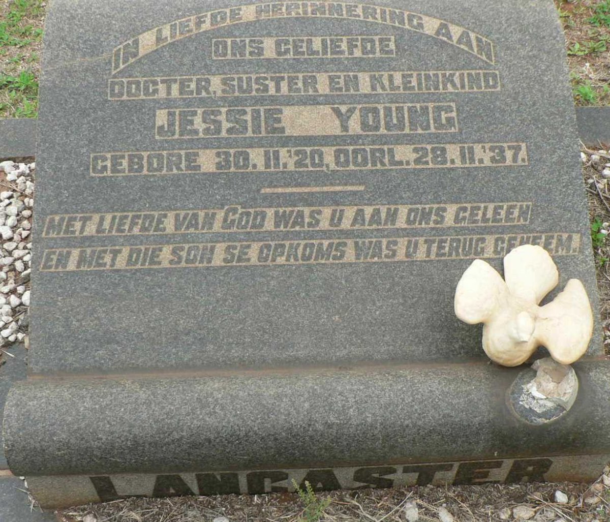 YOUNG Jessie 1920-1937